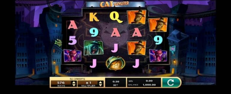 Cat Gangster