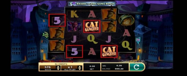 Cat Gangster