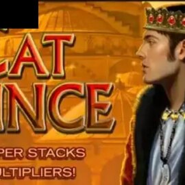 Cat Prince