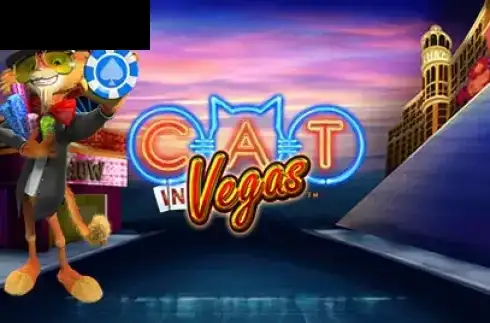 Cat in Vegas