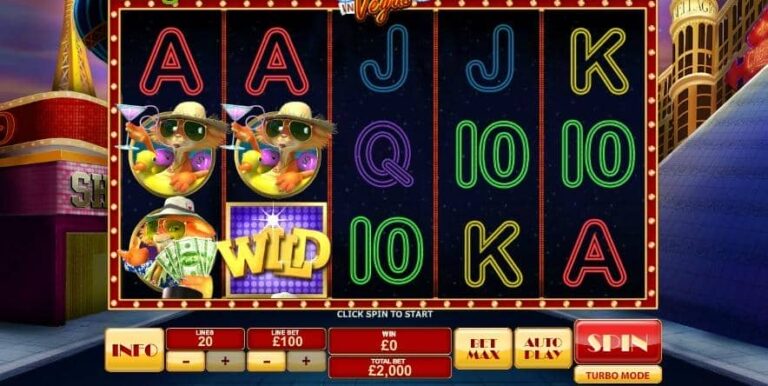 Cat in Vegas