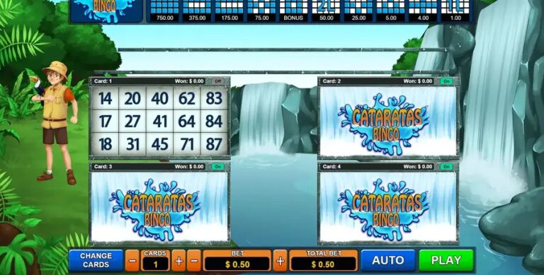 Cataratas Bingo