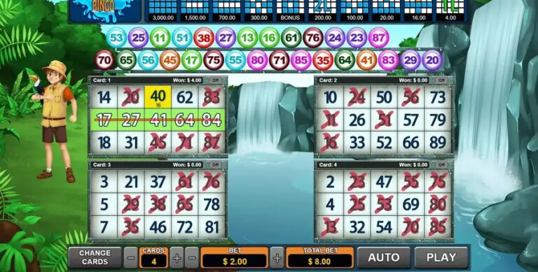 Cataratas Bingo