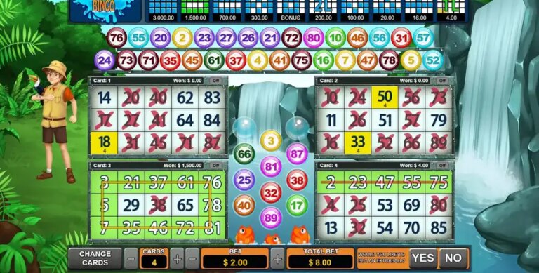 Cataratas Bingo