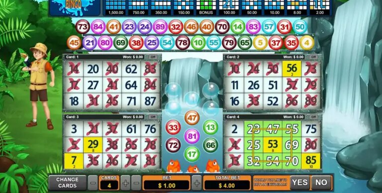 Cataratas Bingo
