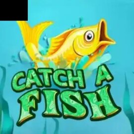 Catch a Fish