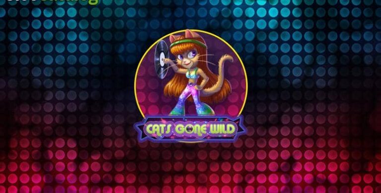 Cats Gone Wild
