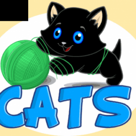 Cats (Portomaso)