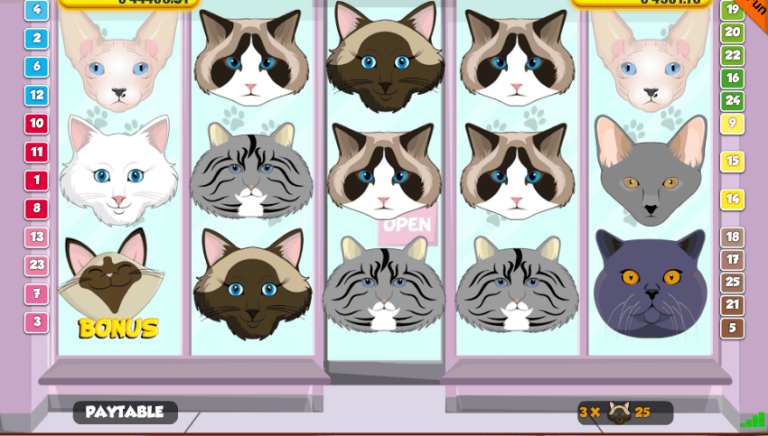 Cats (Portomaso)