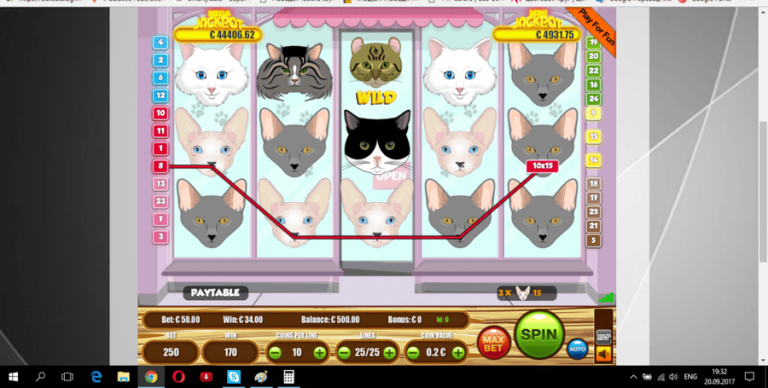 Cats (Portomaso)