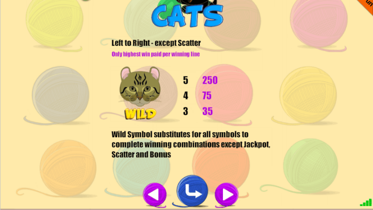 Cats (Portomaso)