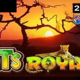Cats Royal