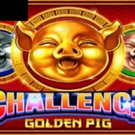 Challenge Golden Pig