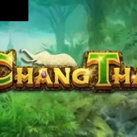 Chang Thai