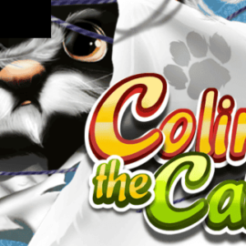 Colin the Cat