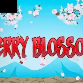 Cherry Blossoms