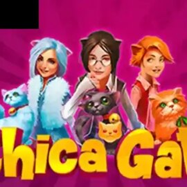 Chica Gato