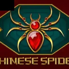 Chinese Spider