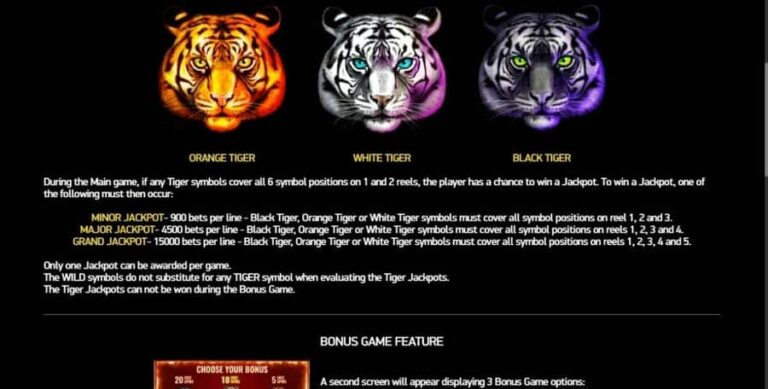 Chinese Tigers