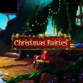 Christmas Fairies