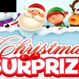 Christmas Surprise