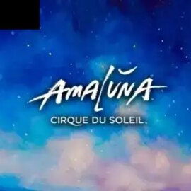 Cirque Du Soleil Amaluna