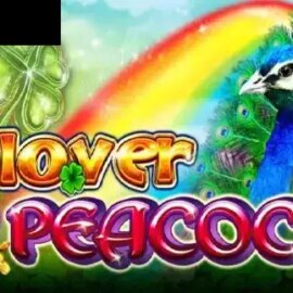 Clover And Peacock
