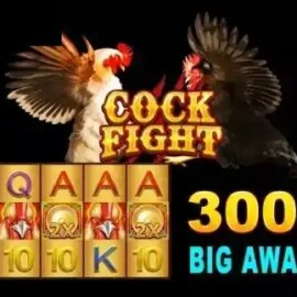 Cock Fight