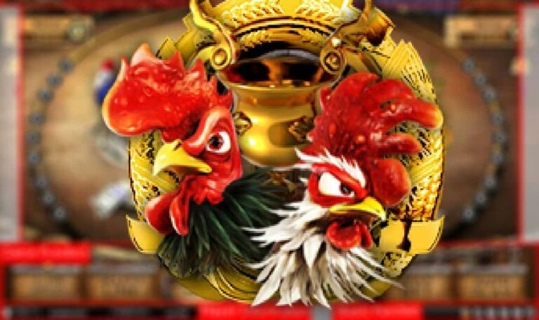 Cock Fighting
