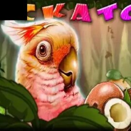 Cockatoo