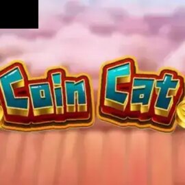 Coin Cat