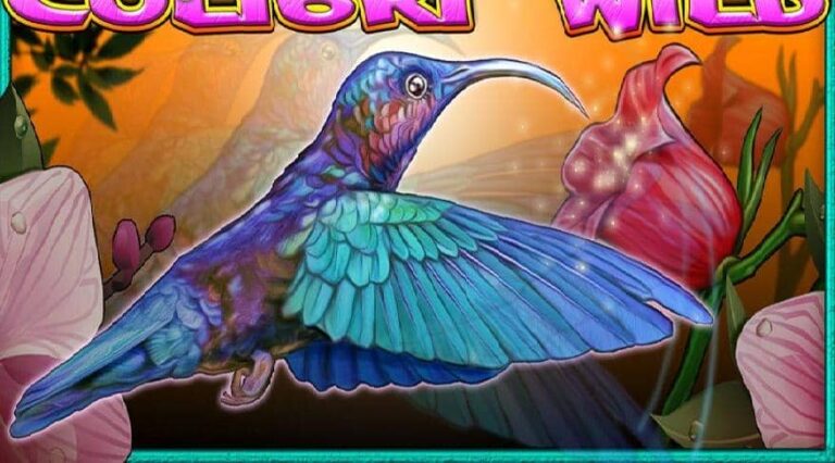 Colibri Wild