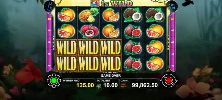 Colibri Wild