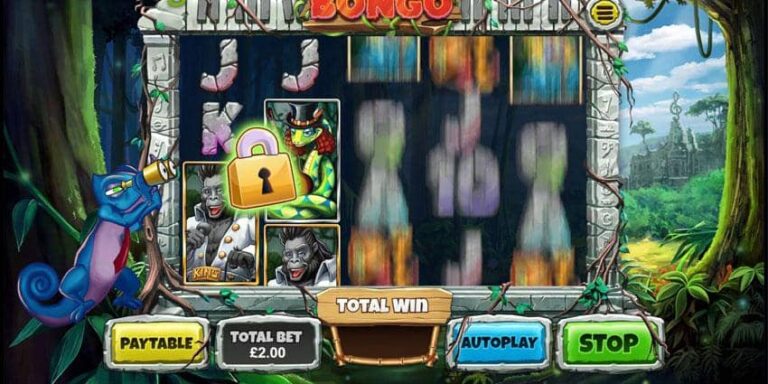 Congo Bongo (Asylum Labs Inc)