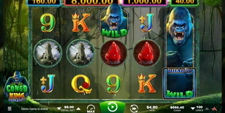 Congo King Quad Shot