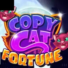Copy Cat Fortune