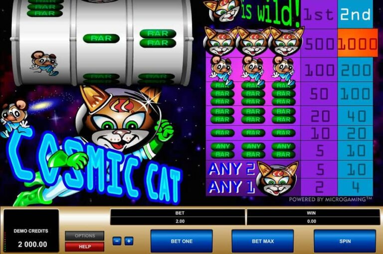 Cosmic Cat