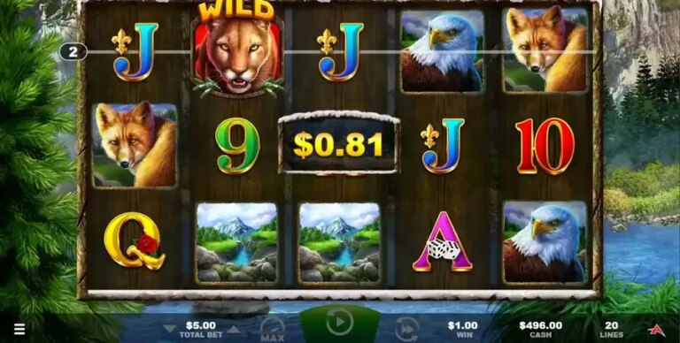 Cougar Cash