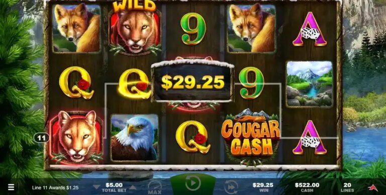 Cougar Cash