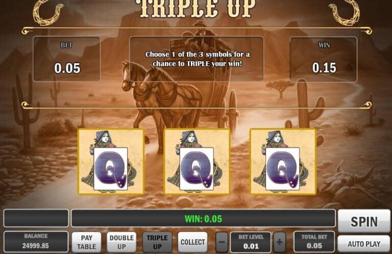 Cowboy Treasure