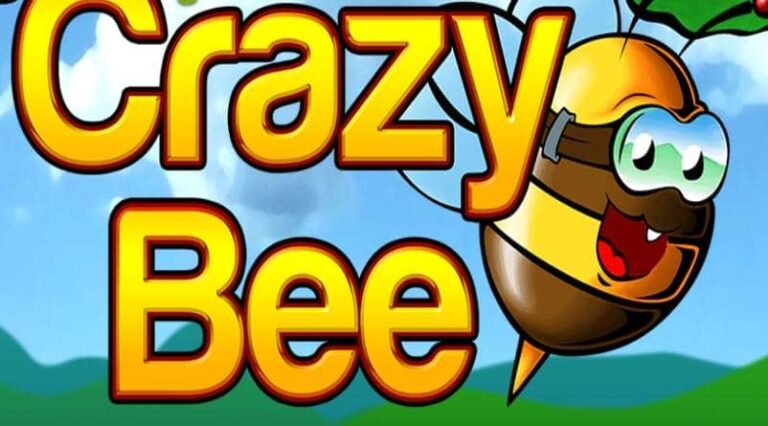 Crazy Bee