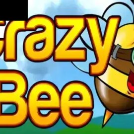 Crazy Bee