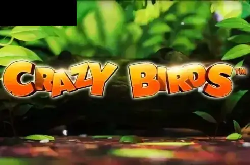 Crazy Birds