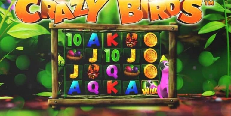 Crazy Birds