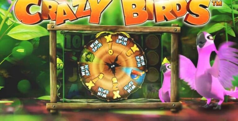 Crazy Birds