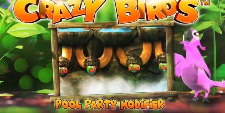 Crazy Birds