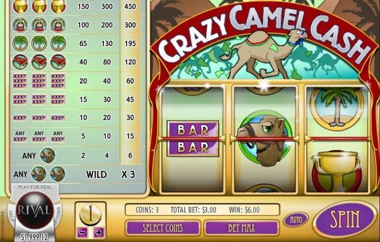 Crazy Camel Cash