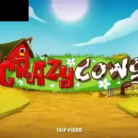 Crazy Cows