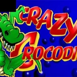 Crazy Crocs