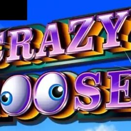 Crazy Goose